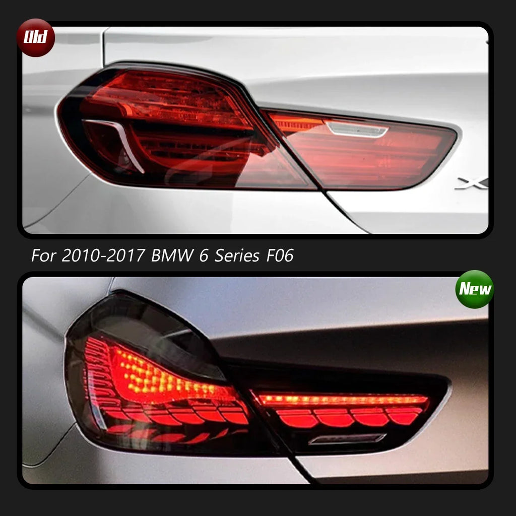 BMW 6 Series F06 2010-2016 LED Tail light Dynamic Turn Signals TYPY